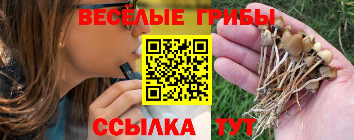 Галлюциногенные грибы GOLDEN TEACHER  Галлюциногенные грибы мицелий  Вход с VPN  Кинель 