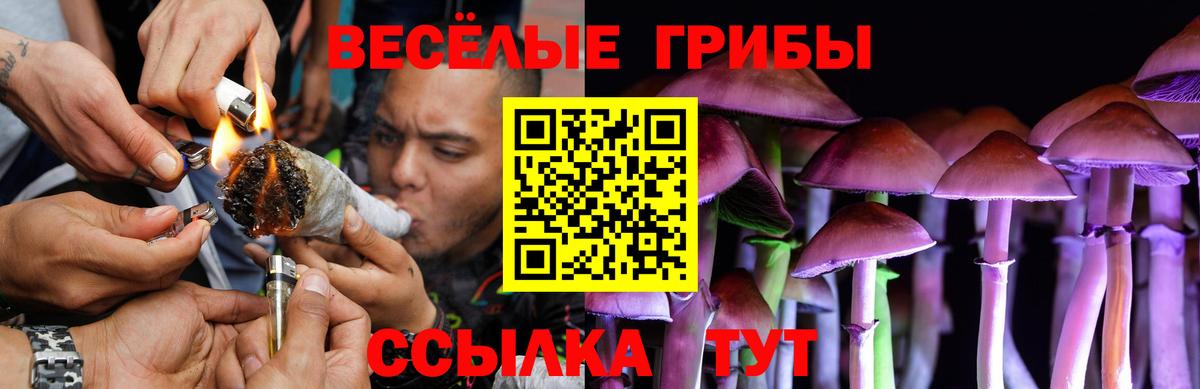 Псилоцибиновые грибы ЛСД Кинель